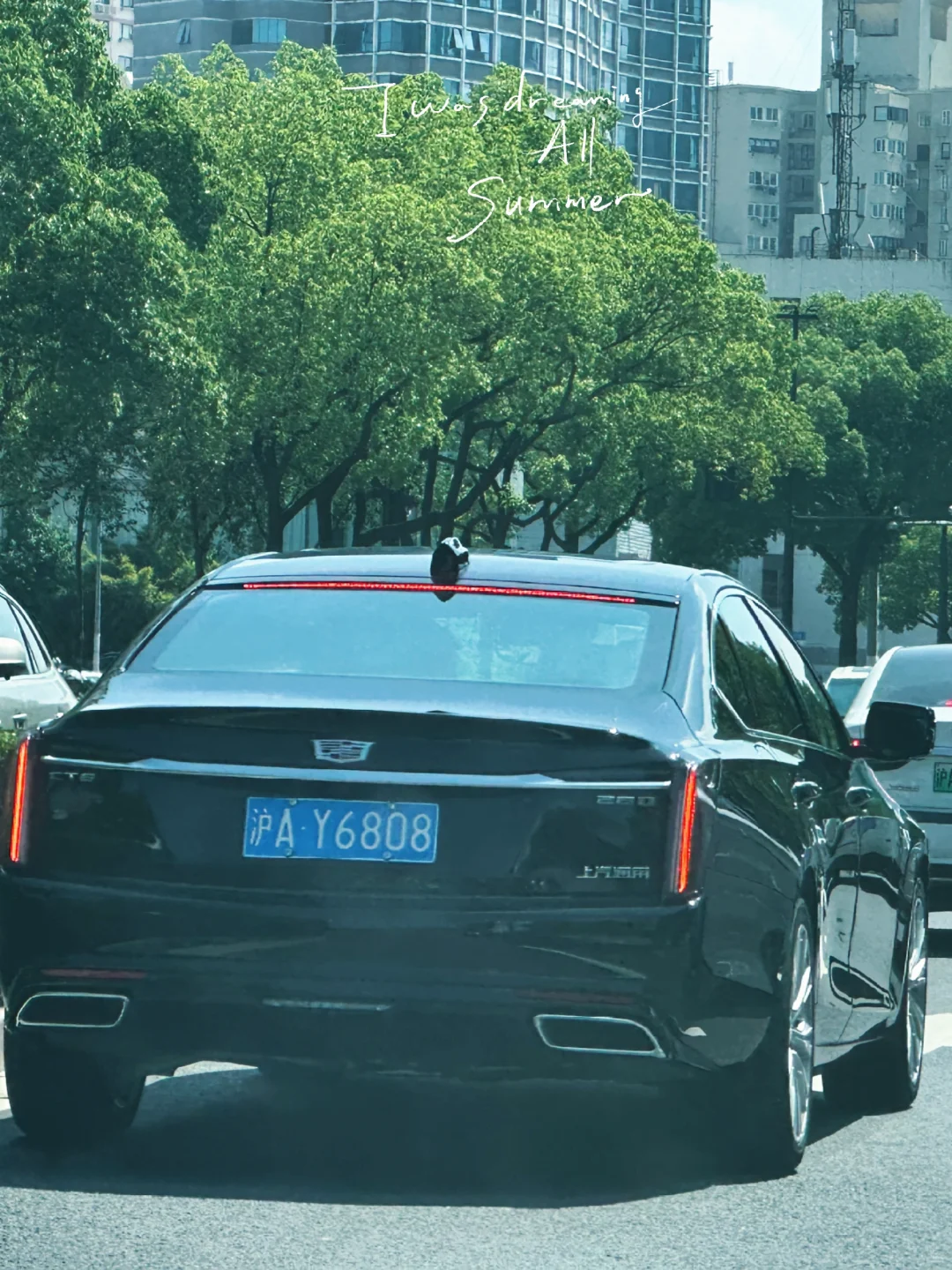 路上遇到好多y牌新车 上海有啥重要会议吗