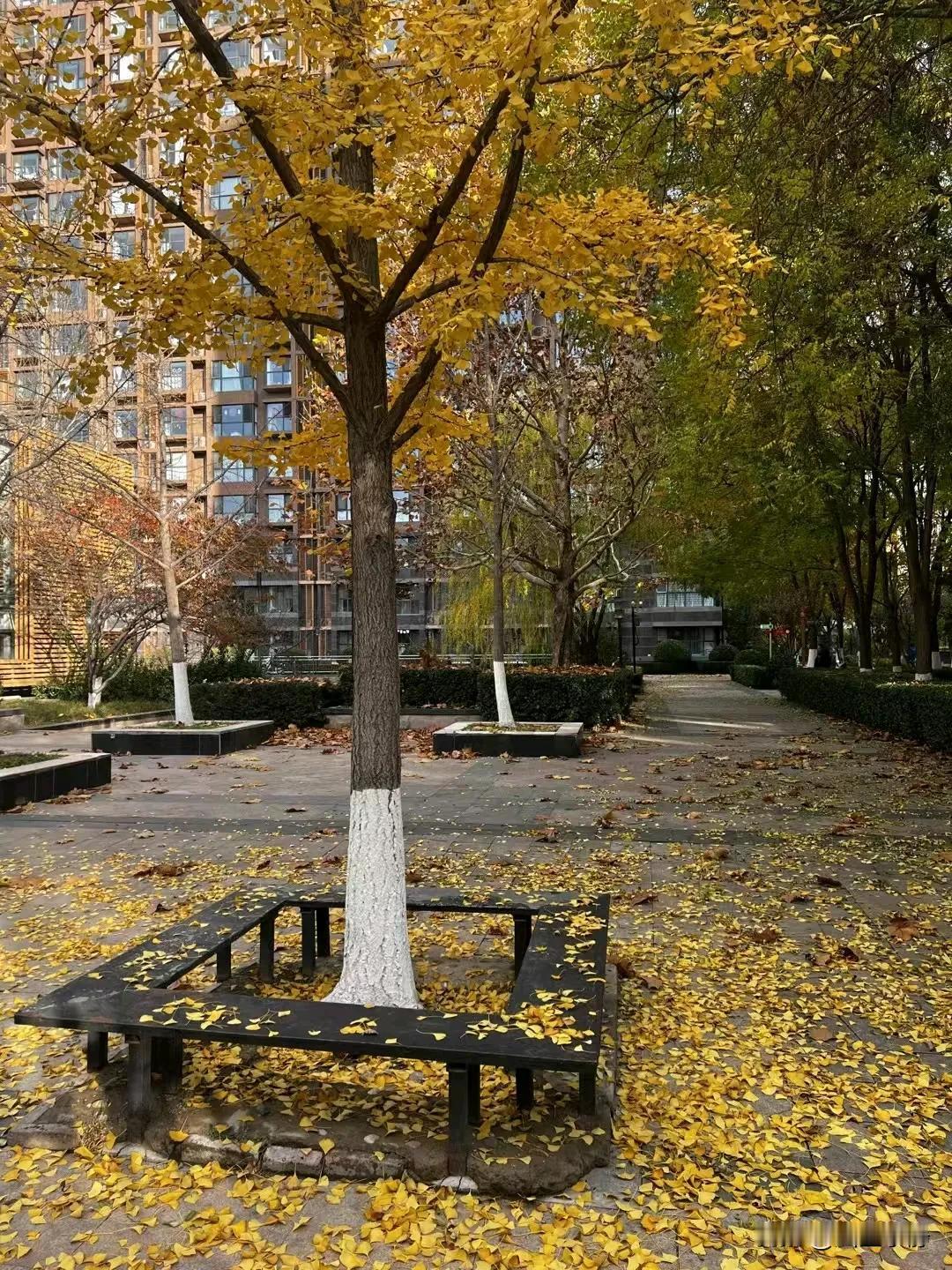 人生过半，少了少年人的浮夸，多了中年人的成熟。
生命的下半场，愿你我，出走半生，