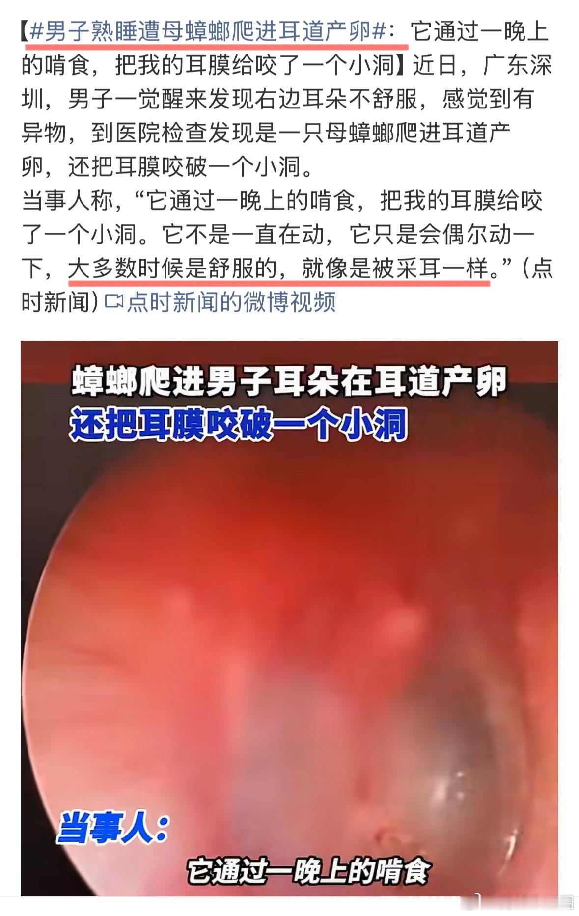 “纯情蟑螂火辣辣,今天来到你的家” 