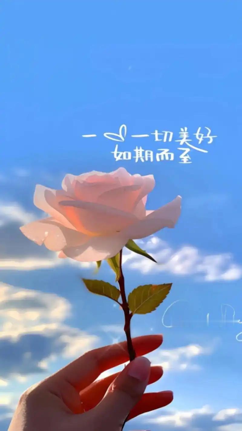 人民日报曾说：
一个人频繁拍照、记录生活、热爱发圈，从来不是无聊，也不是显摆，而