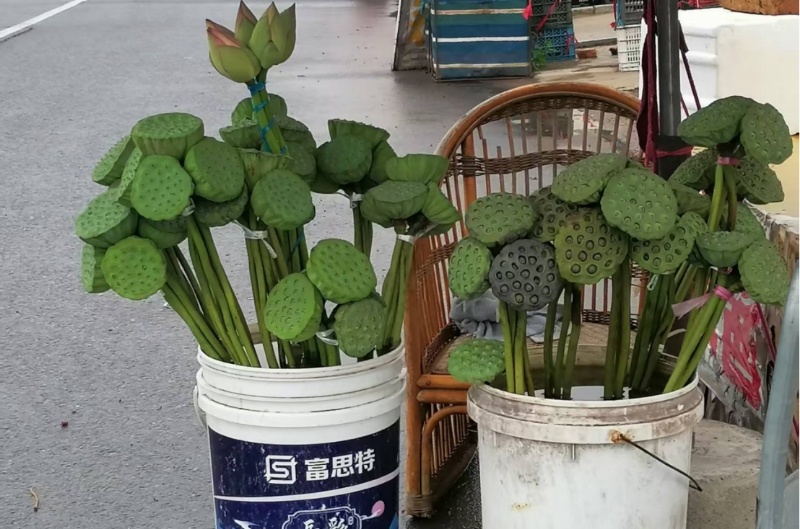 秦岭笑谈 为落实黄河流域生态保护和高质量发展战略，严守耕地保护红线、筑牢区域粮食
