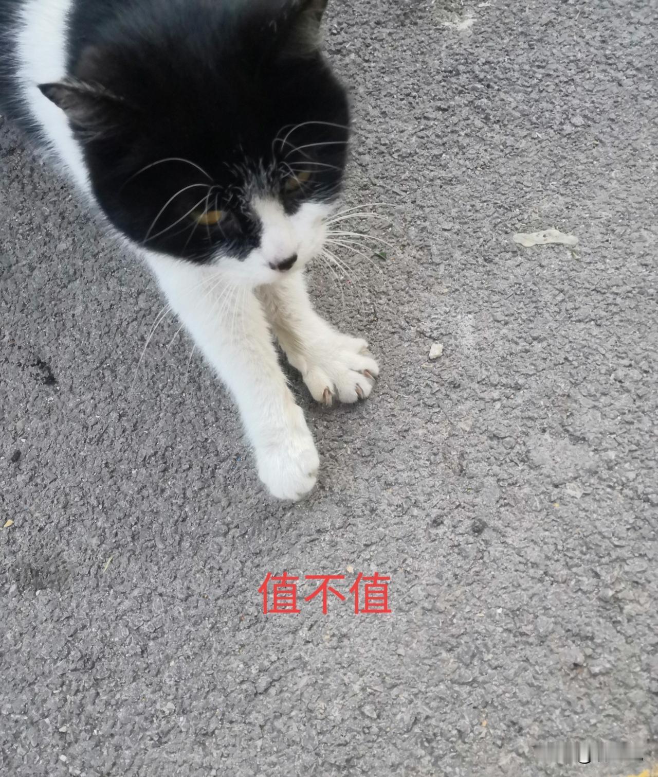 4只皮皮虾1035元被认定合规，到底冤不冤
 
三亚4只皮皮虾收费1035元，市