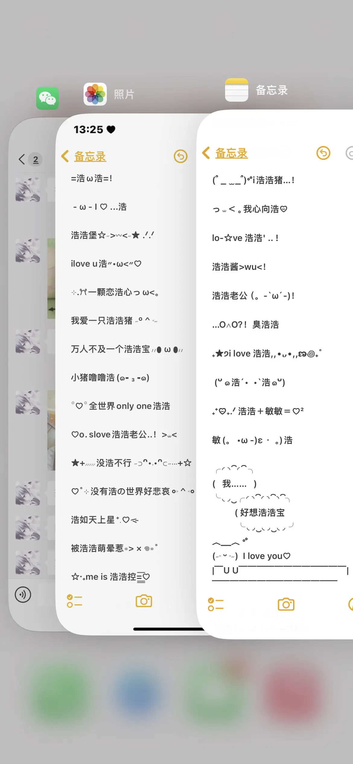 全世界再也找不到比浩浩更可爱的猪(՞•Ꙫ•՞)ﾉ