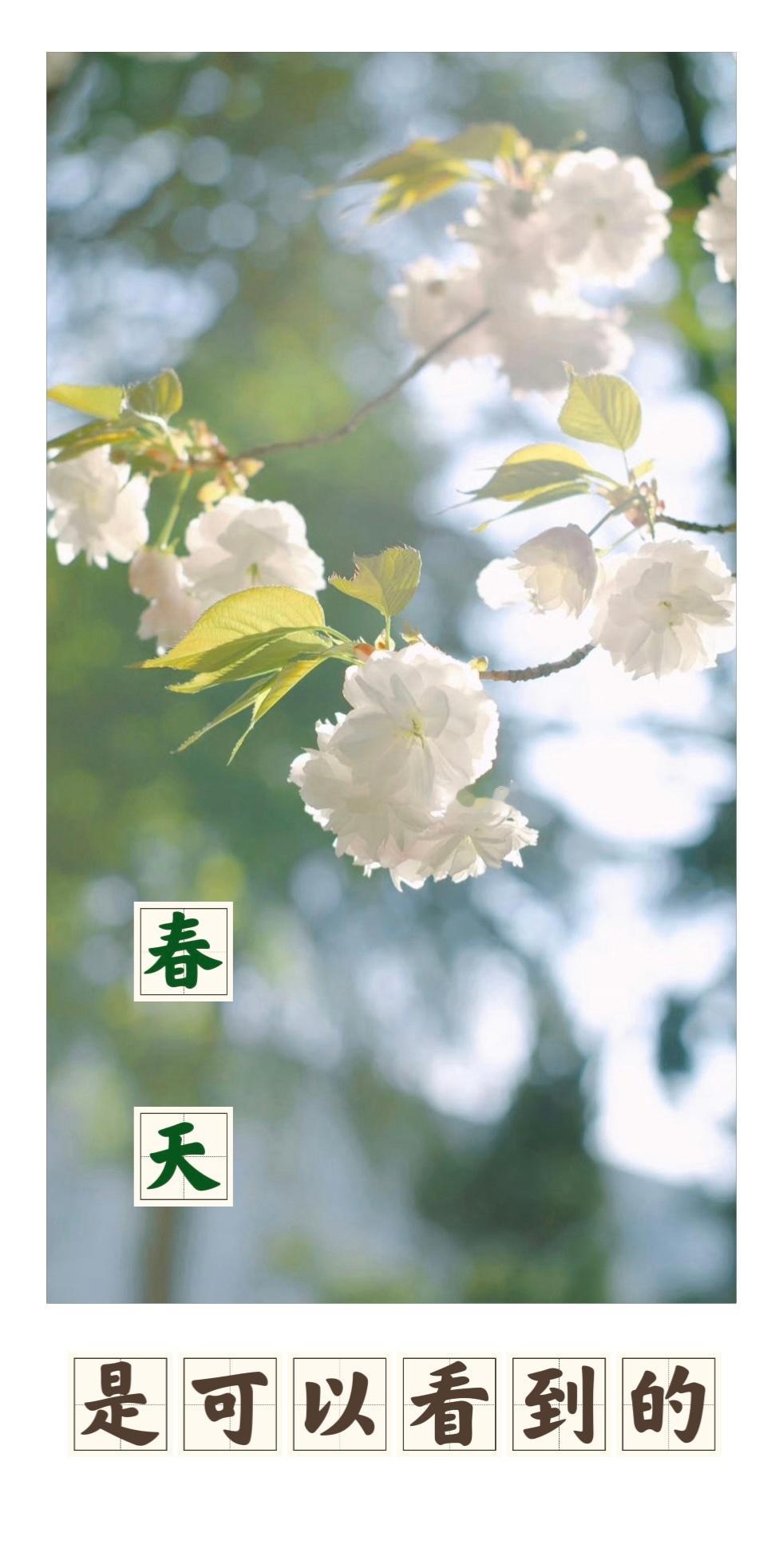 展望2026【 “春天是可以握住的” 】　　（人民日报 2026-01-01 0