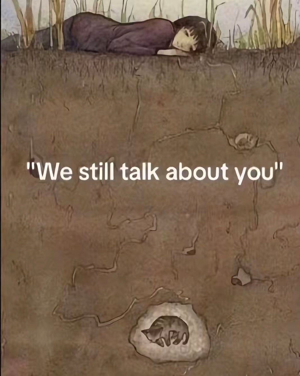 悲伤，是爱的代价。 