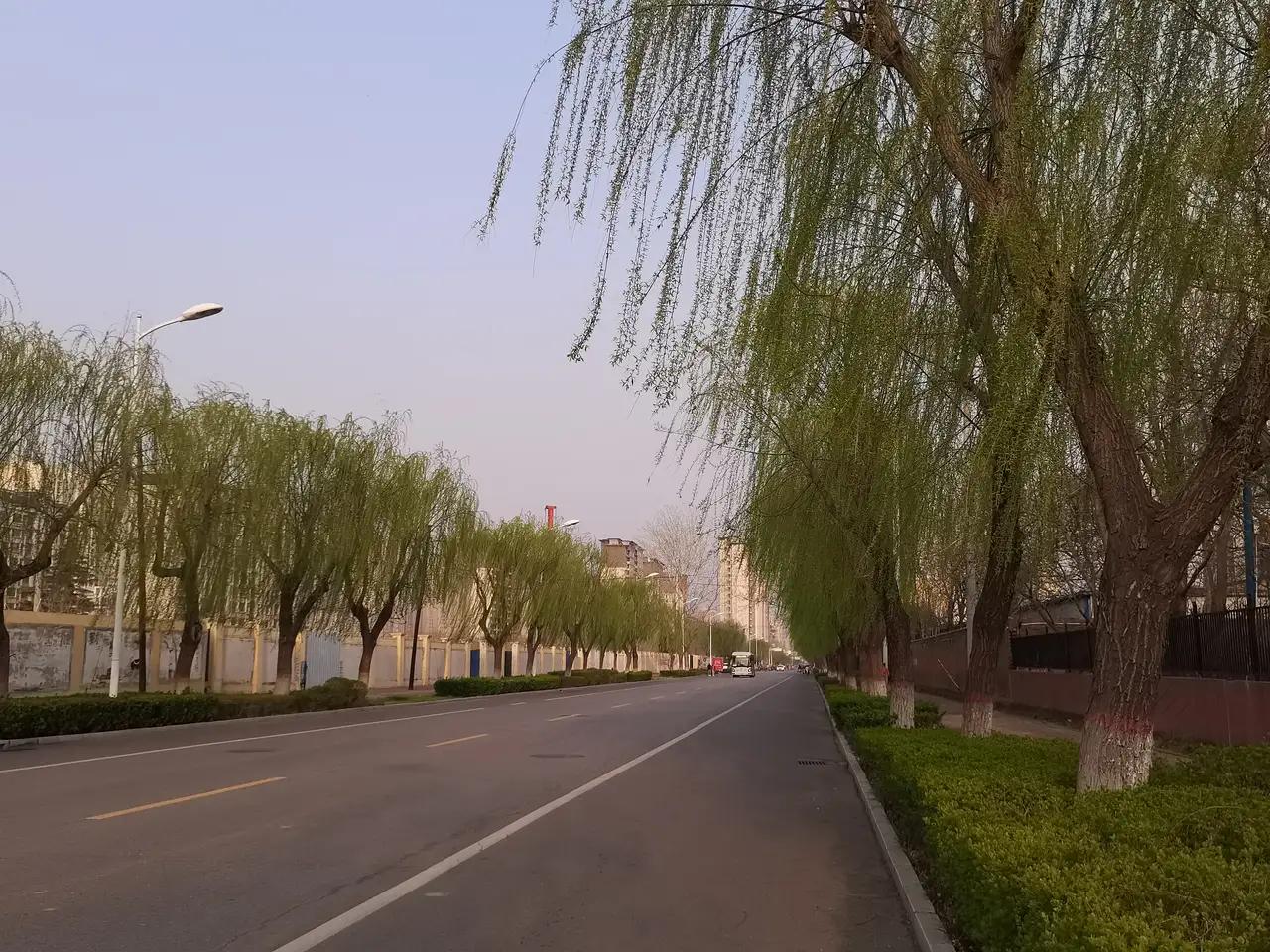 完整榜单
男子一想抽烟就买彩票中了701万元

你没看错，就是这样一个简单又略带