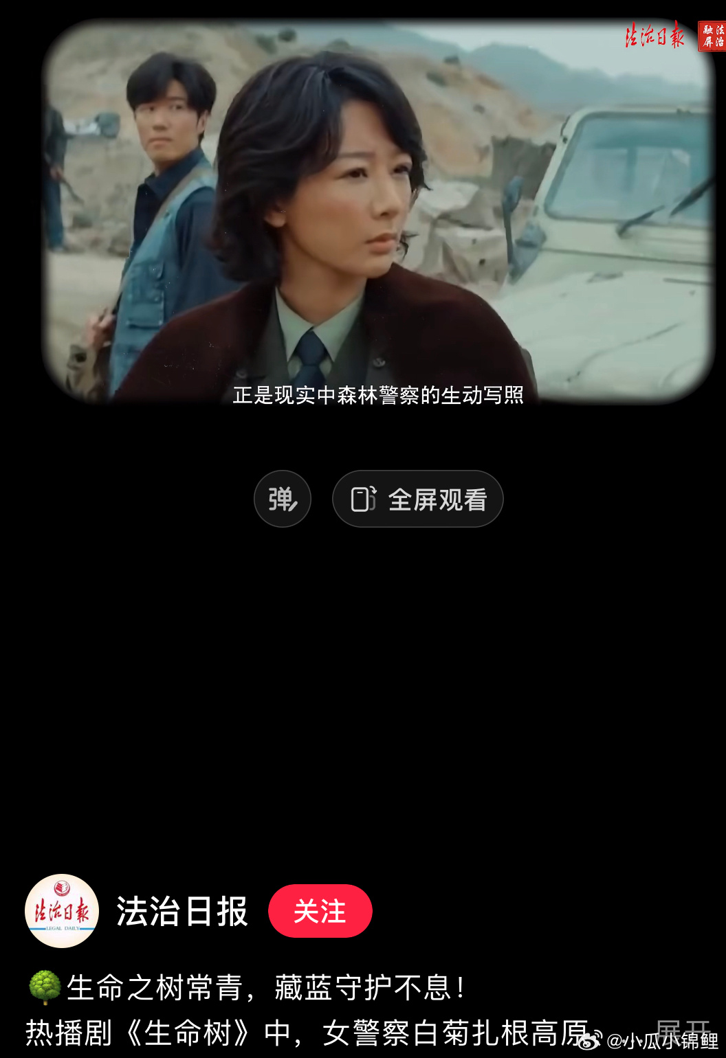 杨紫的小白菊跟法制日报的视频更搭哦 