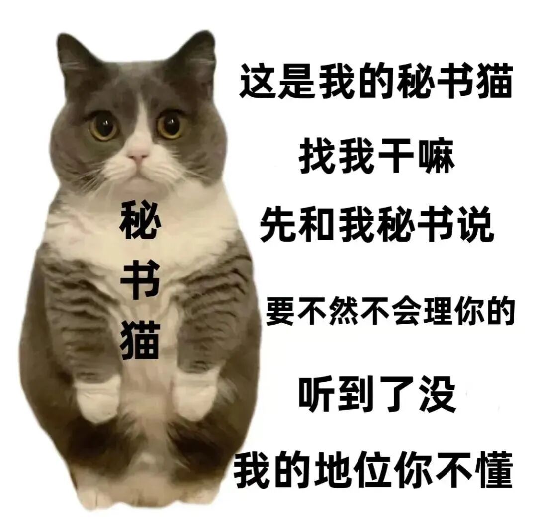 oYo 