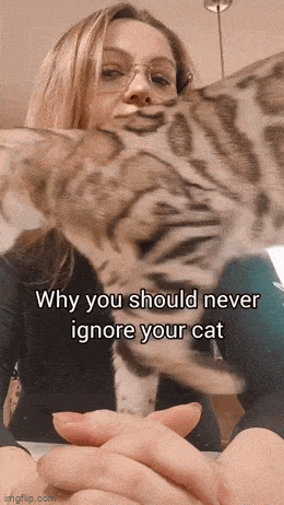 猫猫：我帮你擦擦眼镜，让你一天到晚看不见我 ​​​