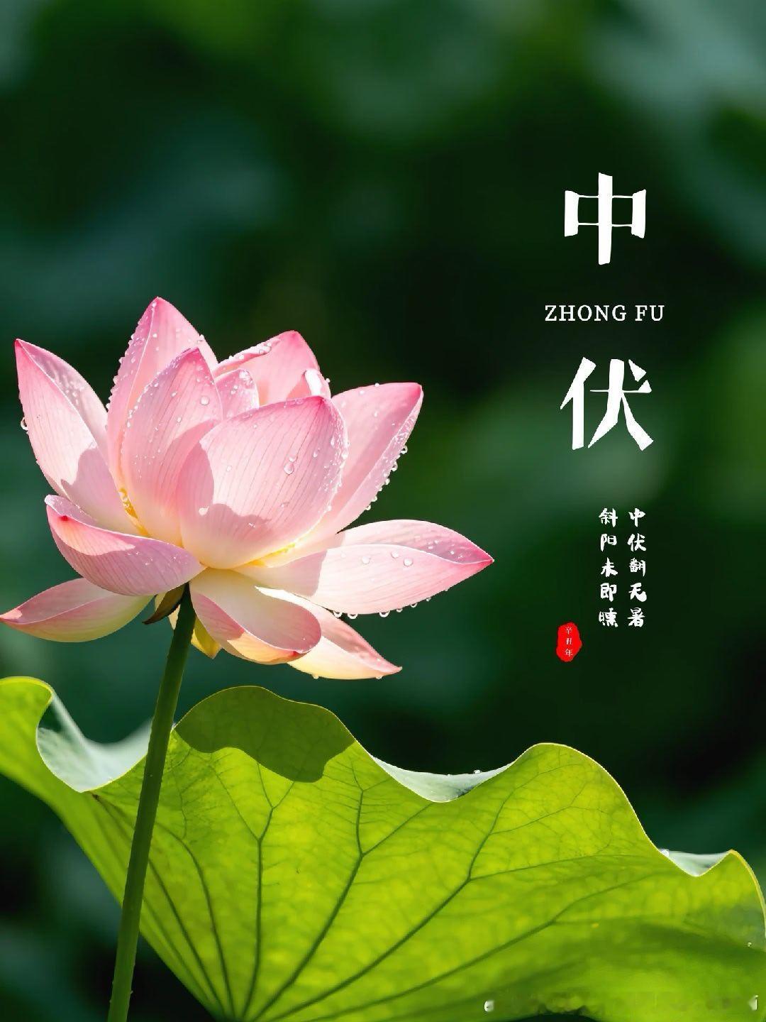 庚子日，天干第二庚入中伏。 