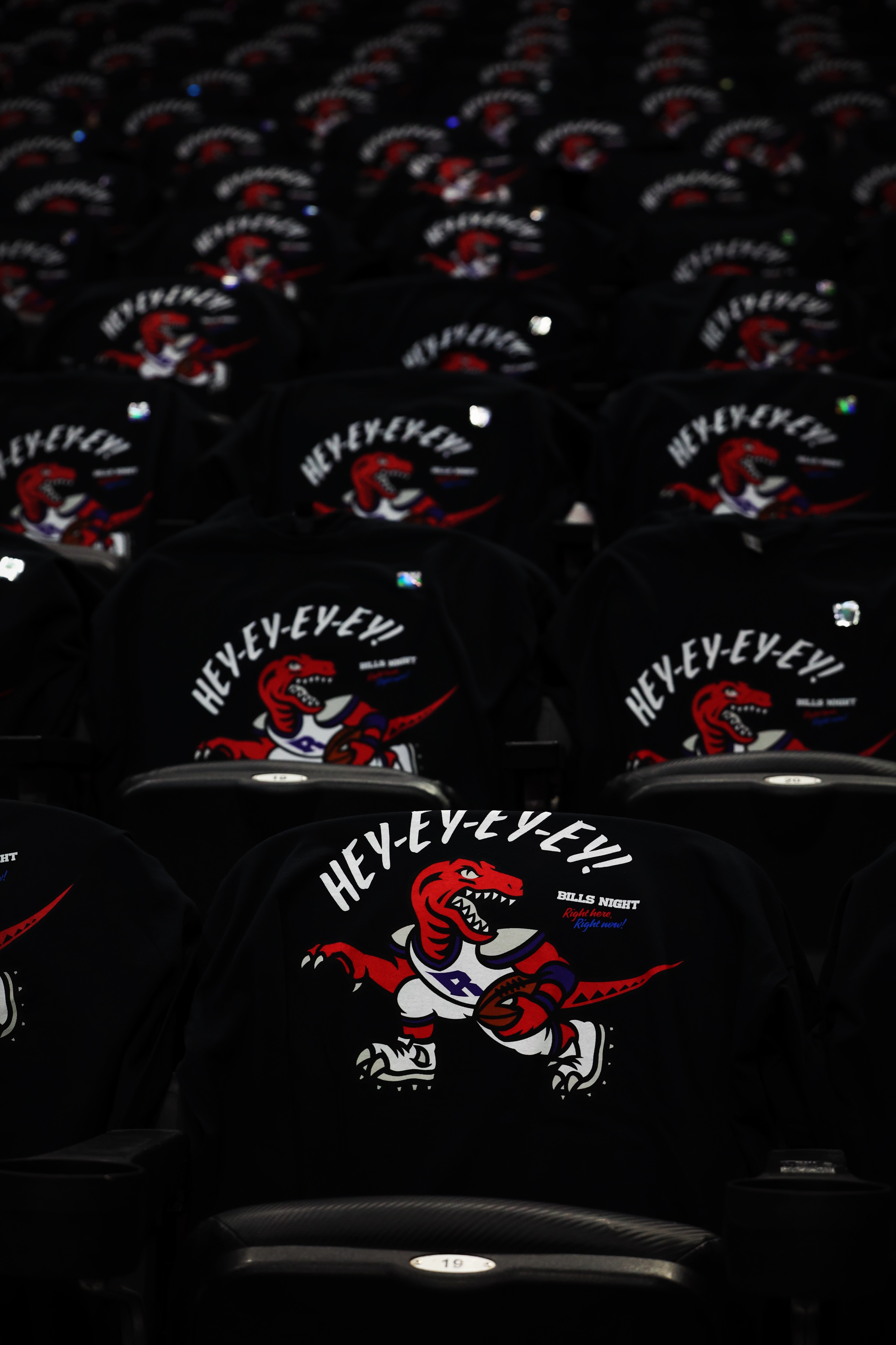 主场作战！早安 加拿大·Air Canada Center