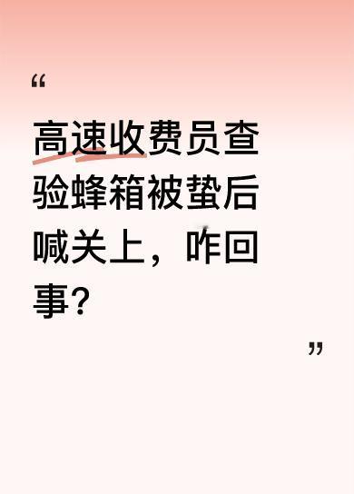 高速收费员要求蜂农卸下蜂箱开箱查验，结果被蛰了。之后就着急喊着“你先关上”，可蜂