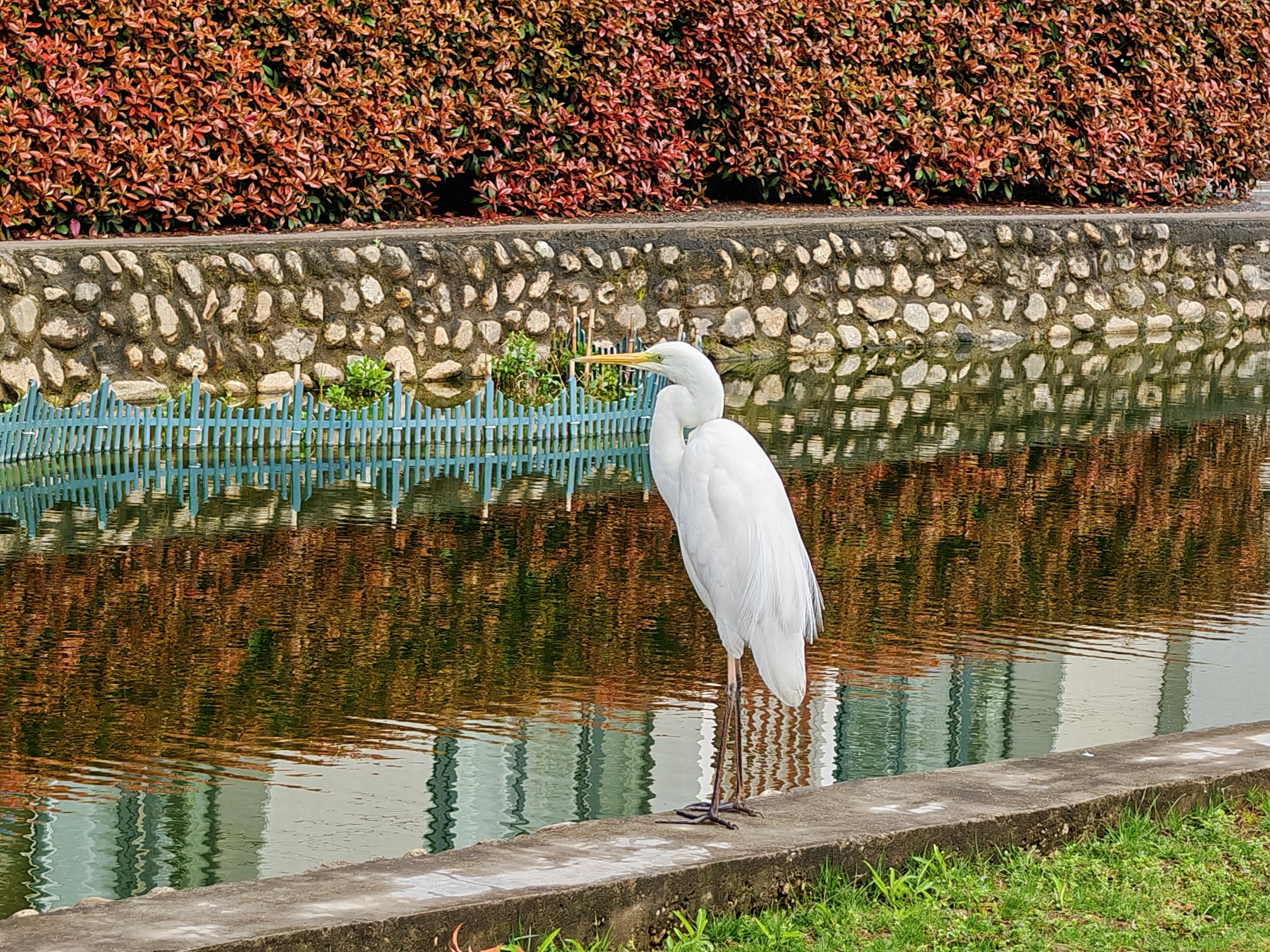 闲云舒卷，野鹤翩跹，远山含黛，清风入怀，一枕清宁，偷得浮生半日闲。 