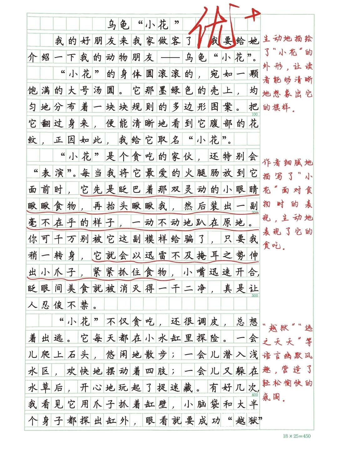 四年级下册语文，第四单元习作《我的动物朋友》精选范文三篇，收藏参考学习~四年级语