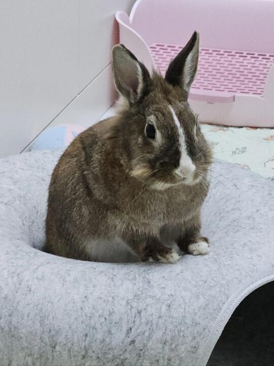 养兔人也对有些养兔警察很无语