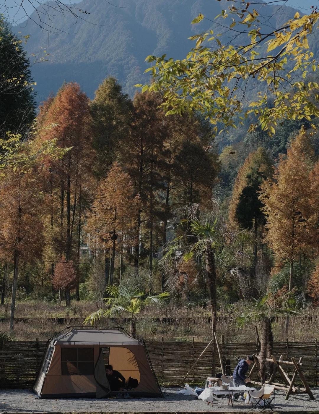 入山居，与秋日告别🍂
深秋的山里，阳光变得格外慷慨
整座山谷浸泡在18°C的暖