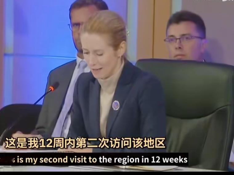 拱火。世界上最不稳定的因素就是欧盟，打着民主自由和平的旗号，在全世界拱火。俄乌战