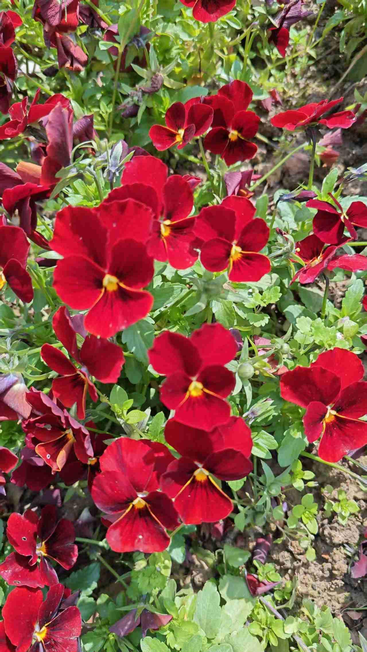 我的今日状态：😁轻松愉快
我这里的天气：☀️晴天