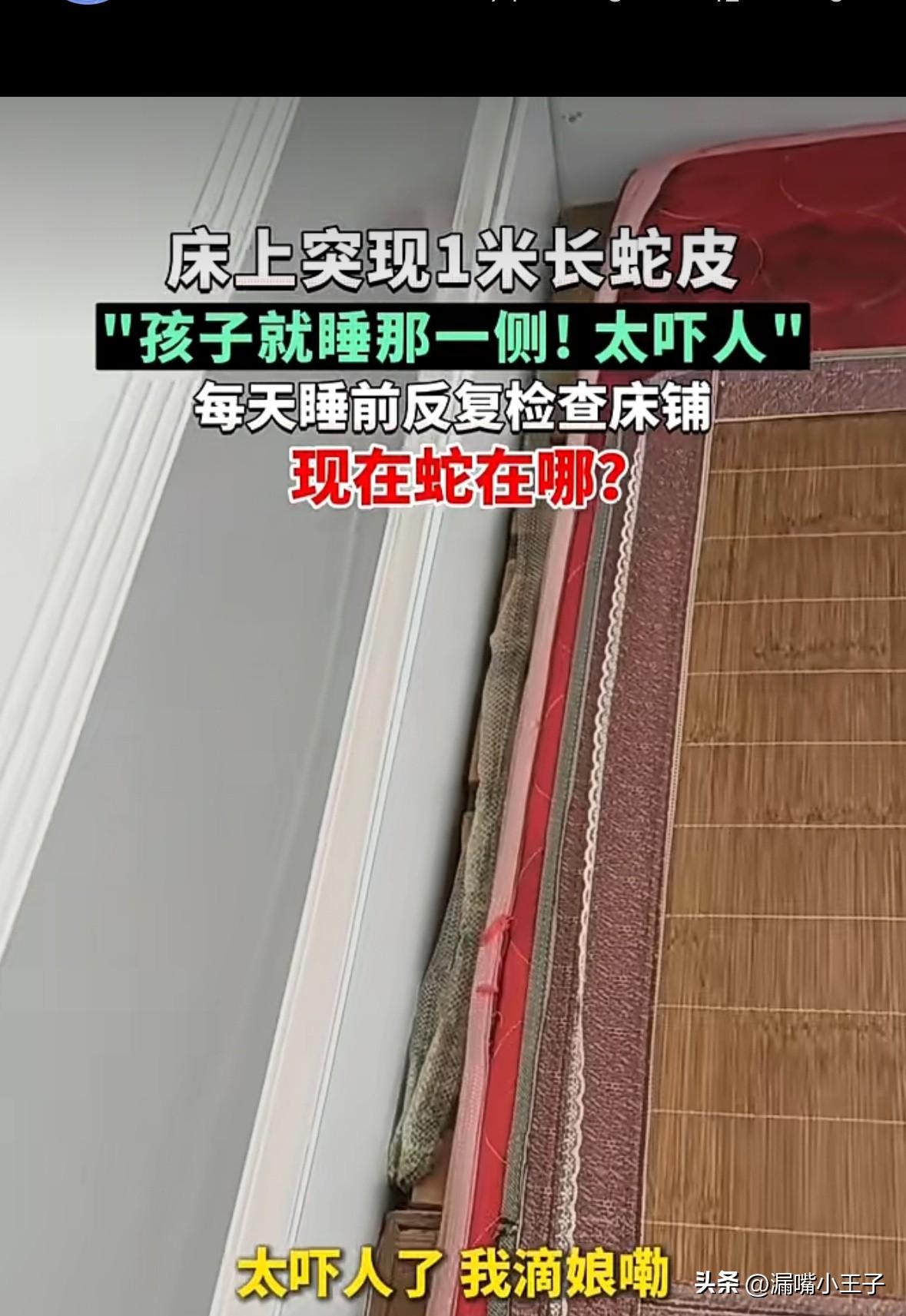 妈呀，这要换作是你们，这个家你还敢要吗？
安徽宿州雷女士在自己卧室床上发现一张长