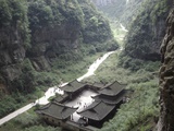 夸夸猫咪