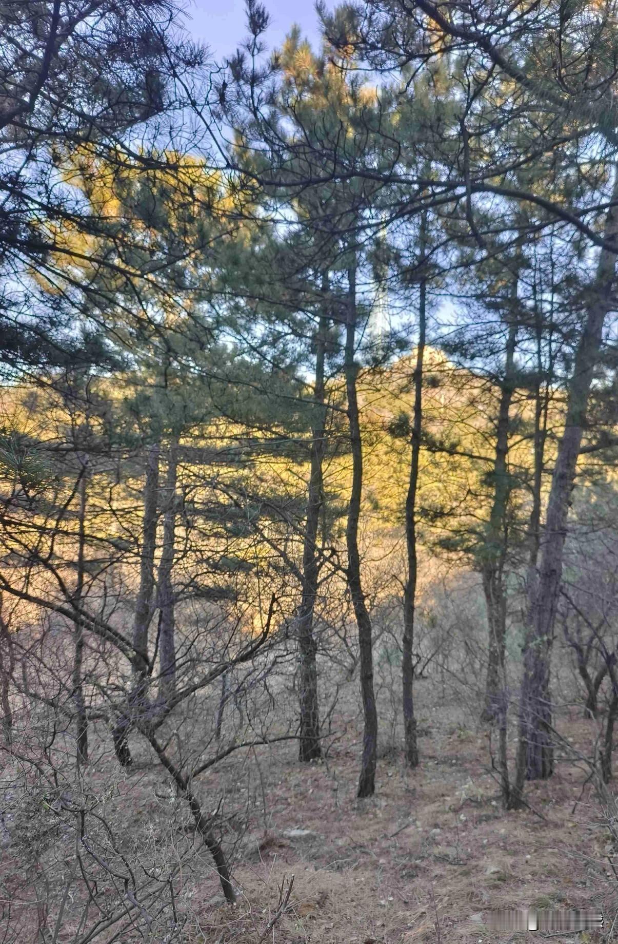 我的今日状态：🏃‍➡️运动
我这里的天气：☀️晴天