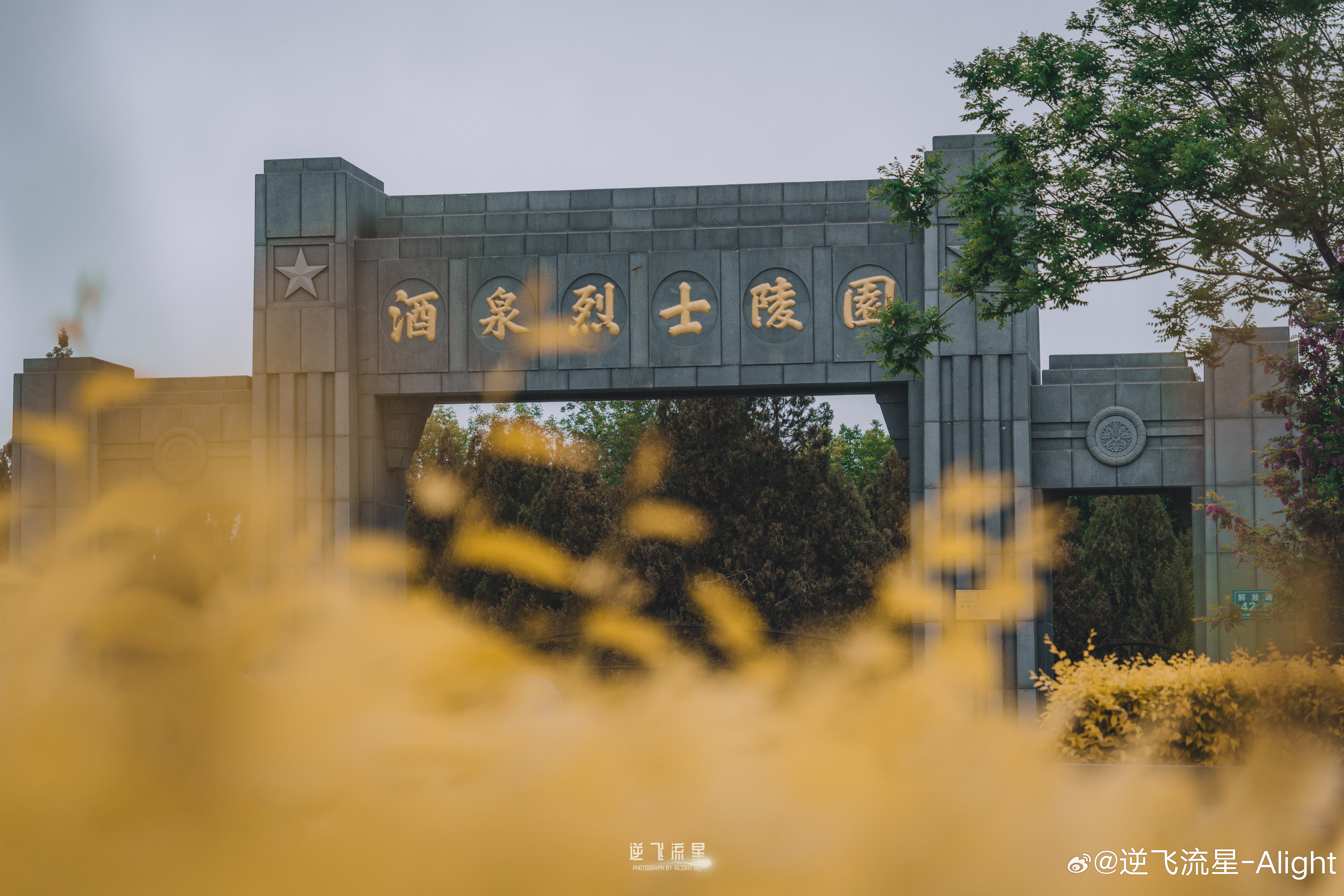 分享图片 ​​​