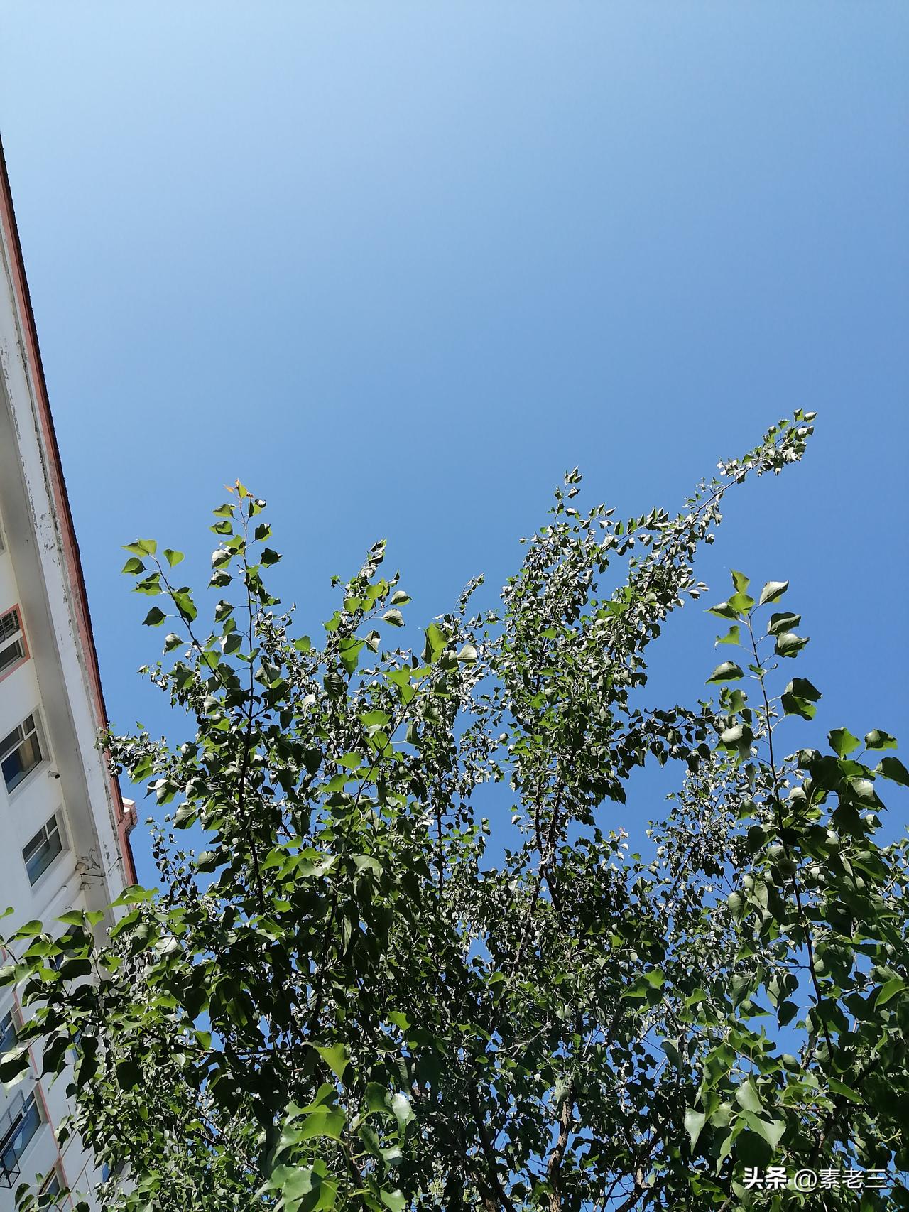 一早晨，我被巨大的噪音给吵醒。这里好像要扒楼的动作，哐哐哐，嗡嗡嗡，吱吱吱，就是