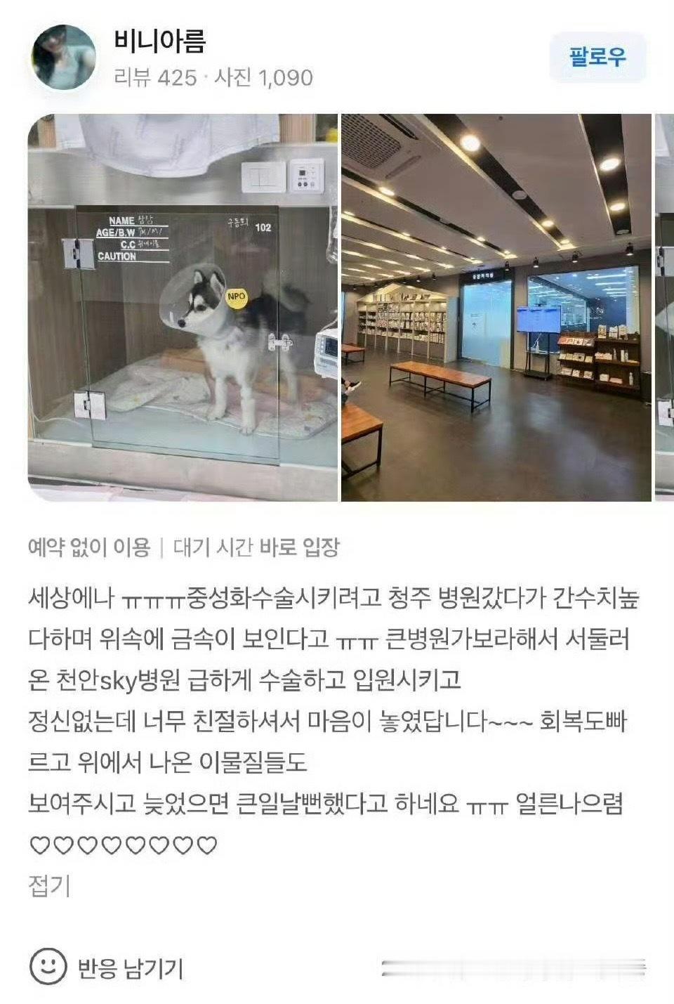 章昊的狗究竟是和成韩彬还是崔秀彬一起养的？ 