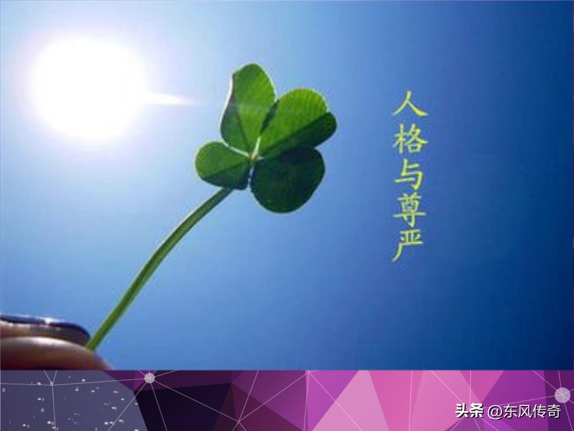 我已经走投无路了，所以我决定放弃自己的人格尊严，把自己卖了。只需3万元，你就可以