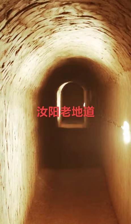 清代伊阳县署地道。