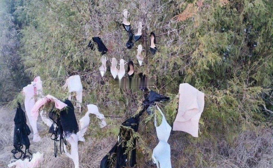 这是啥情况？盘丝洞里的蜘蛛精都下河洗澡了？[傻眼] 