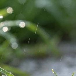 善不可不弘，恶不可不去。善心人人有，快乐你我他。善念养善心，善心生善念。德不积不