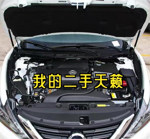 去年夏日的蝉鸣中，我遇见了它——一辆四岁的日产天籁。踏入二手车的世界，心底总带着