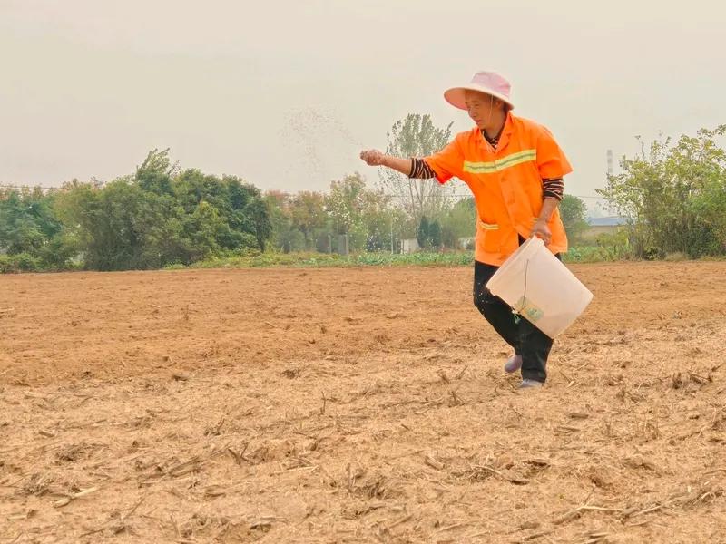 农民全部退出土地，留少量人耕地，异想天开，中国14亿人口，城市根本提供不了那么多