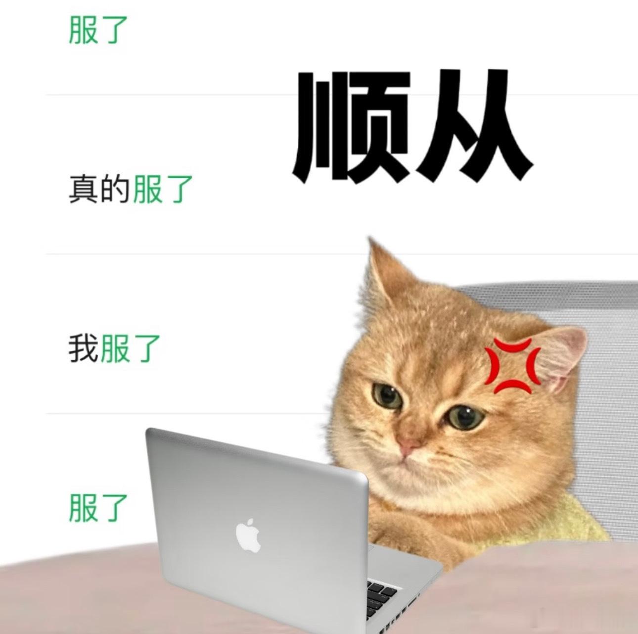 打工人的六大美德 