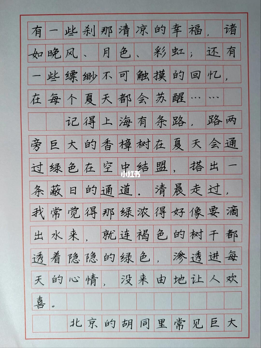 快写章法训练