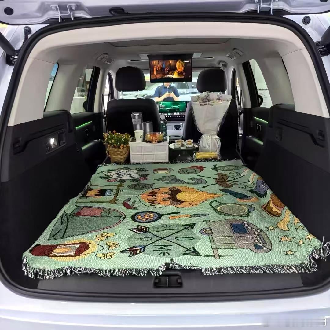 国产新能源是不是研究错方向了，怎么只会宣传冰箱彩电大沙发？其实这些配置还不是新鲜