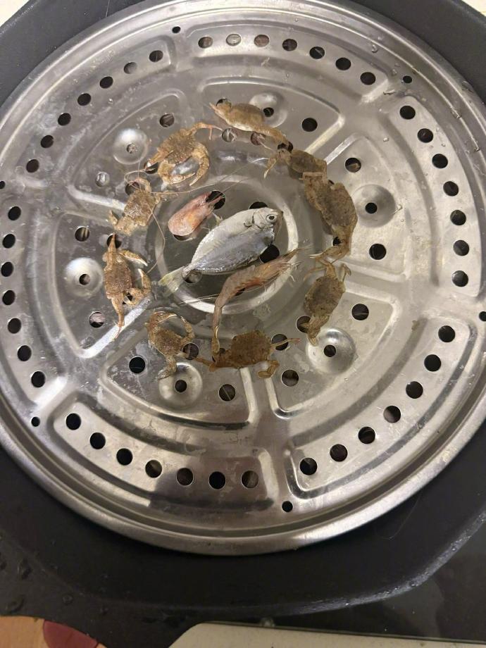 螃蟹从180平方米的蒸锅里醒来 