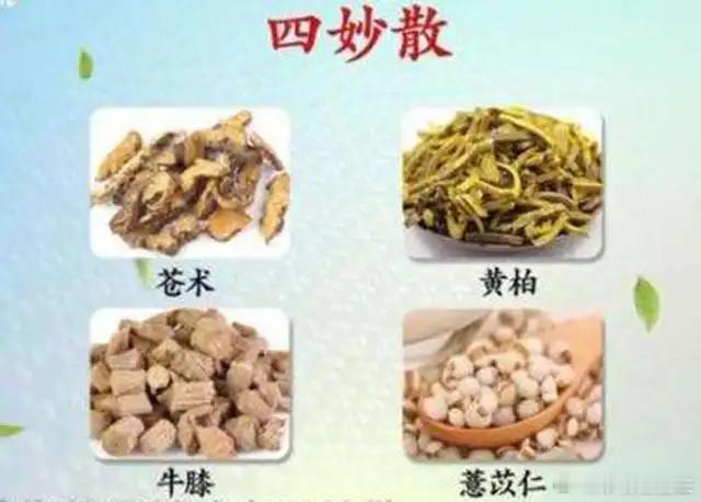出自清朝张秉成《成方便读》的四妙丸，由四味药组成，组方简单、配伍精当、疗效显著。