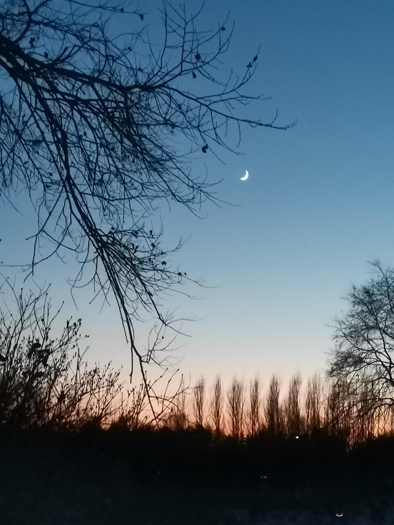 2026，我只死磕一件事：不当“精神内耗选手”！
 
去年立了8个flag，最后