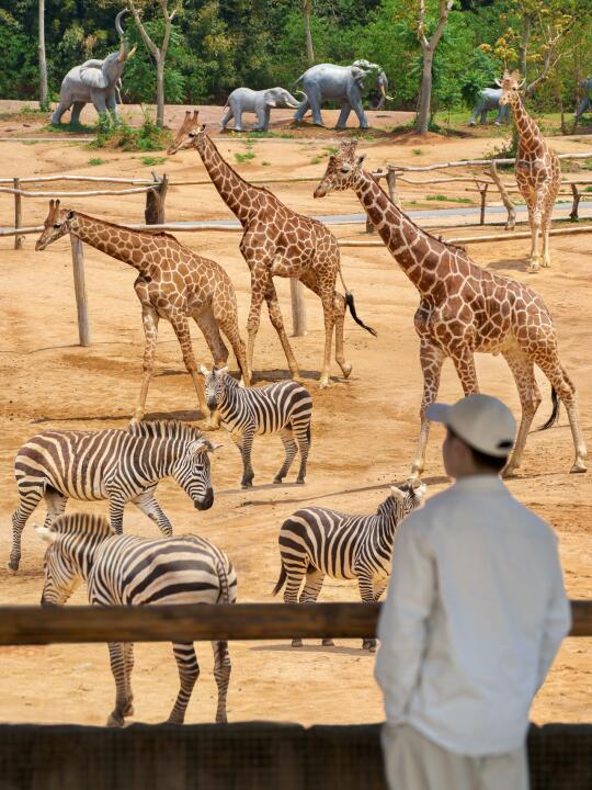朋友圈问爆了，都以为我去国外玩了❗