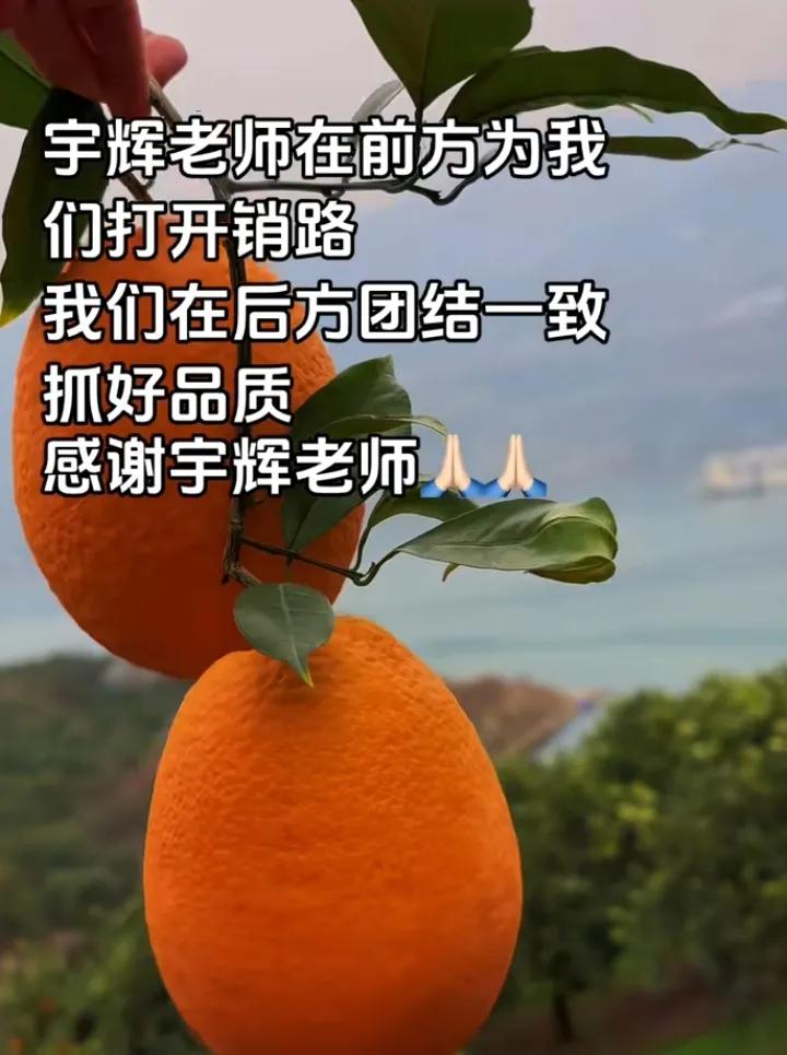 昨天与辉同行销售突破5650万
更震撼的是涨粉6.5万+
问渠哪得清如许为有源头