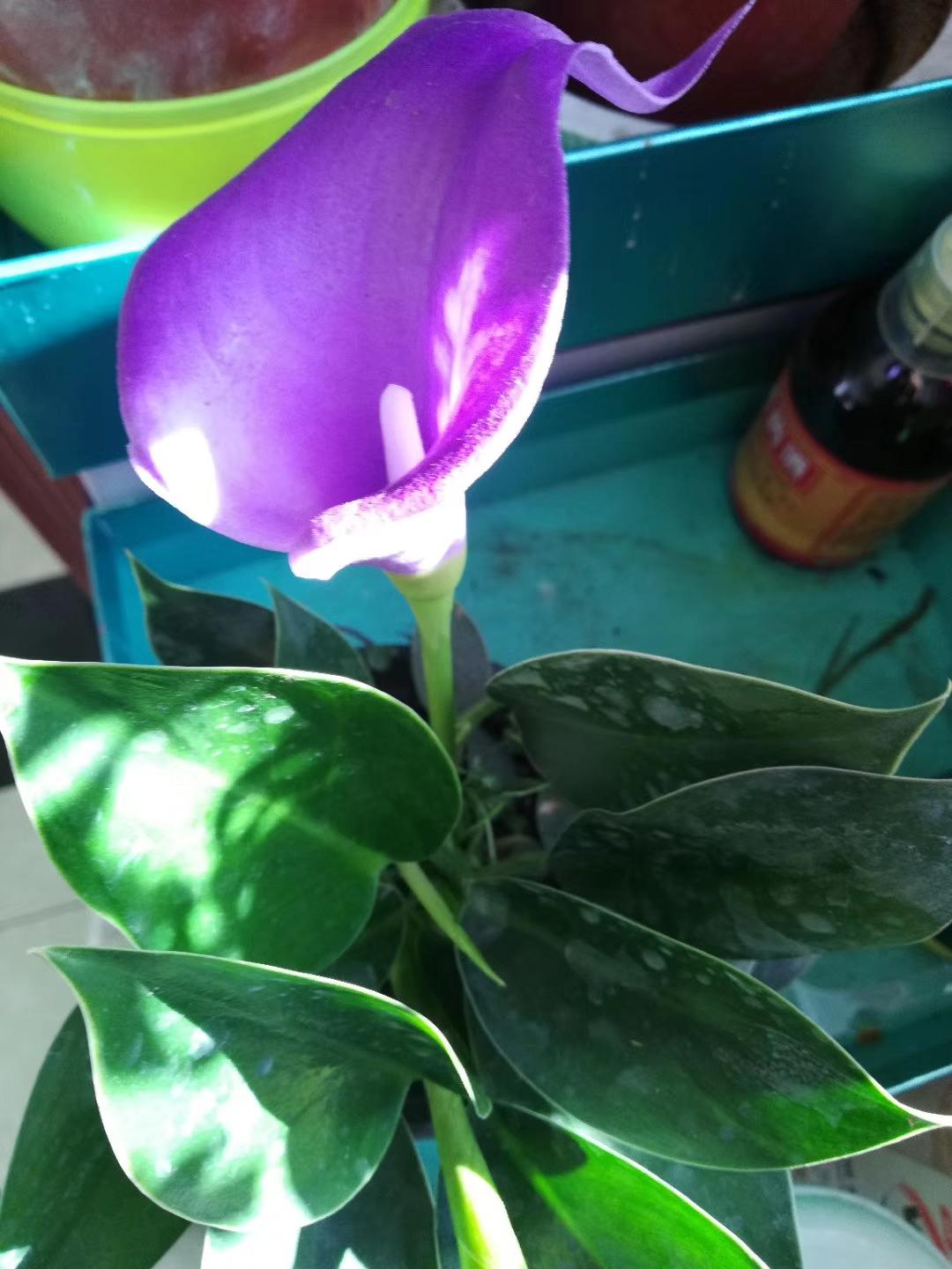 生活随手拍一拍