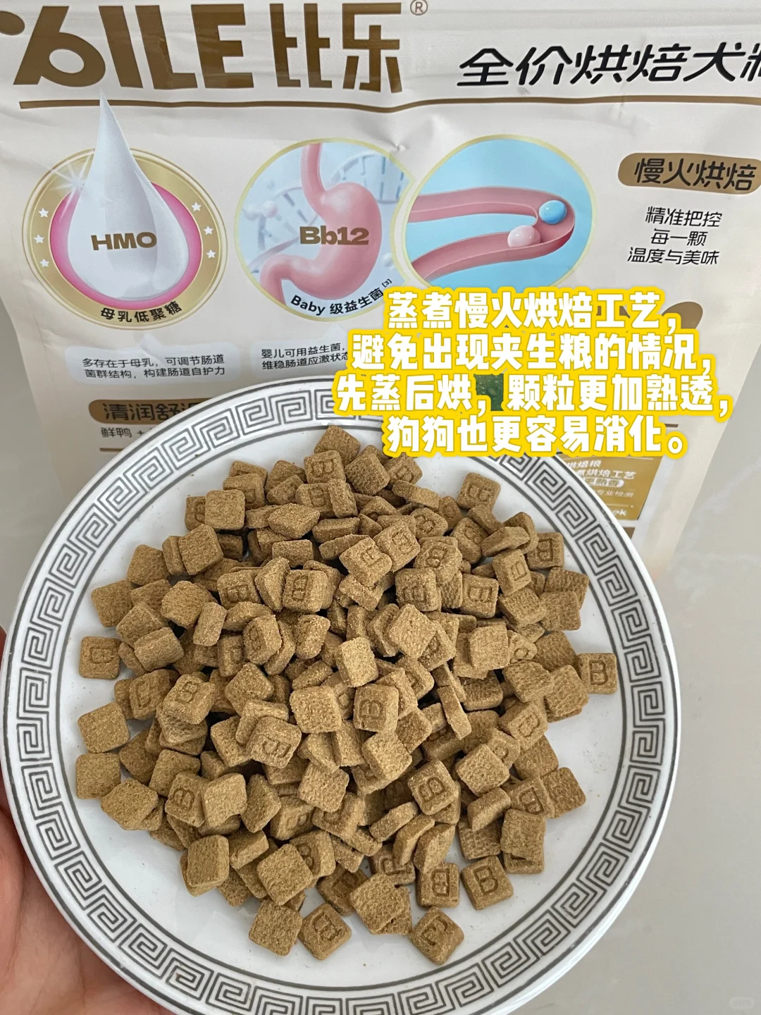 终于不再是玻璃胃小狗啦🎉