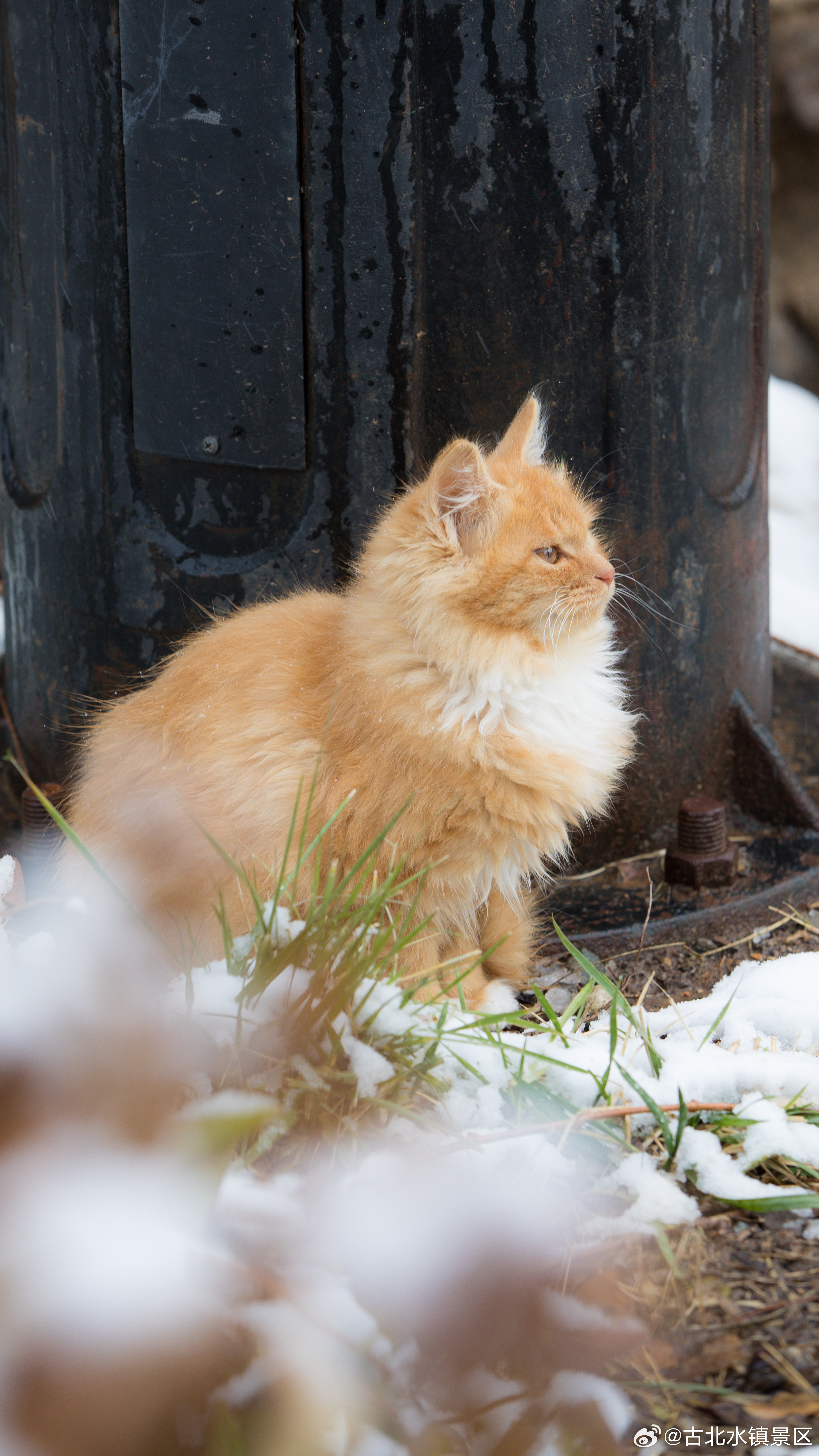 不念过往忧，不惧将来事把每个清晨当作新的开始把每次呼吸化作感恩的旋律早安，宝子们
