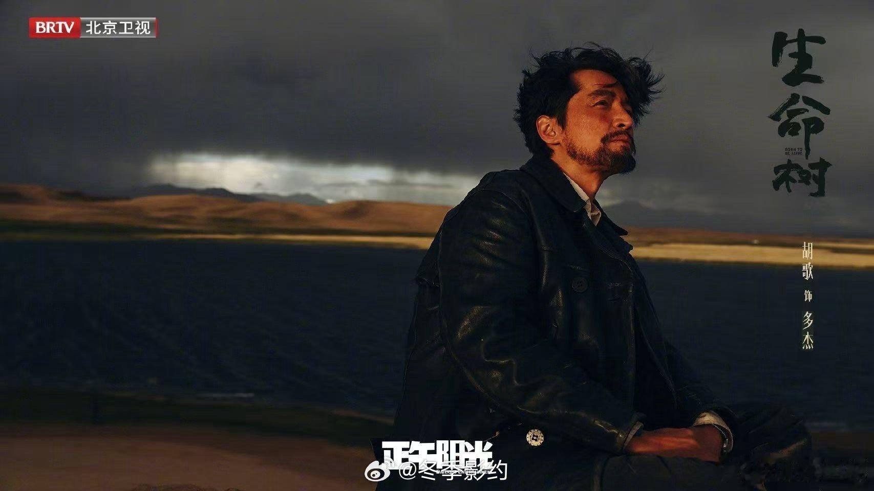 杨紫戏里嘴皮一动胡歌就发怵多杰胃病犯了还不愿休息，白菊直接开启硬核关心模式。反驳