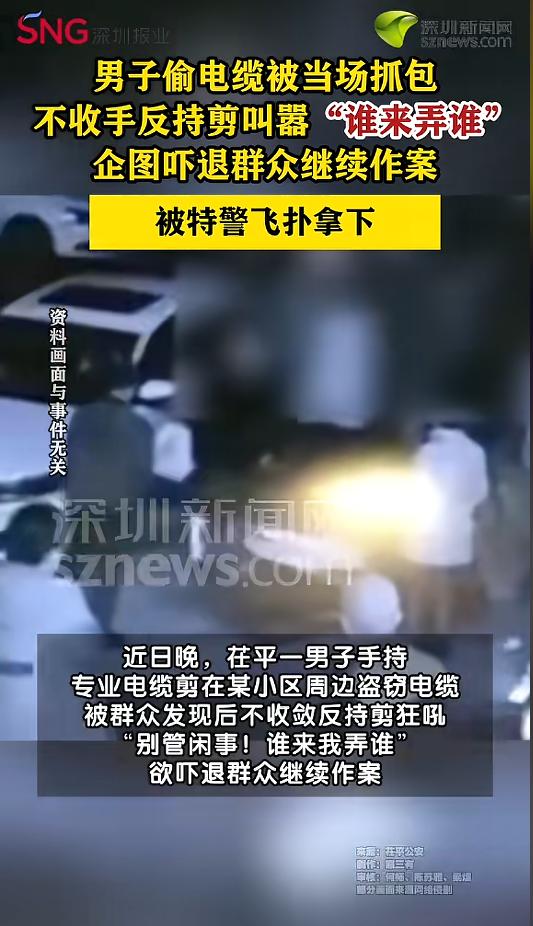 “必须严惩！”近日，山东聊城，一男子在某小区附近，手持专业电缆钳盗窃电缆。被周围