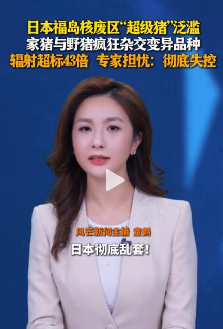 日本，近日福岛核废区传出噩耗：一种杂交野猪疯狂繁殖，数量已突破10万头。更可怕的