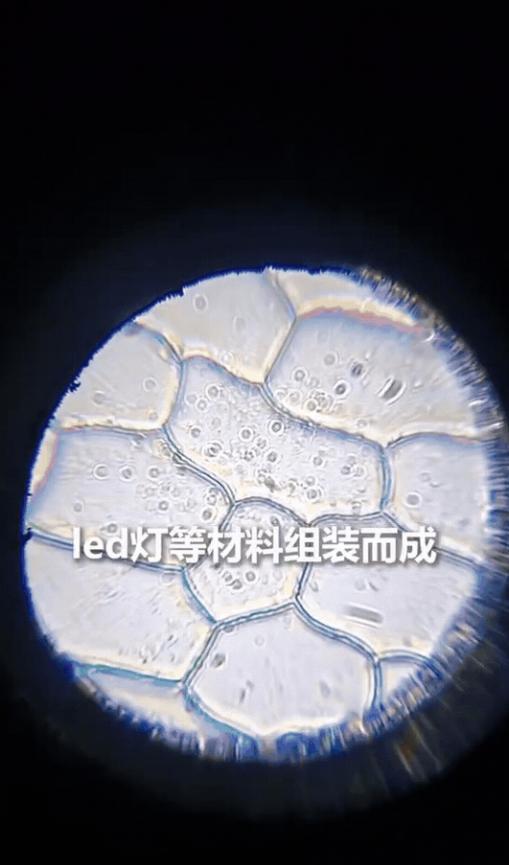 “终于上人民日报了！”贵州一名中学生放暑假待在家里，除了写作业之外，没想到他脑洞