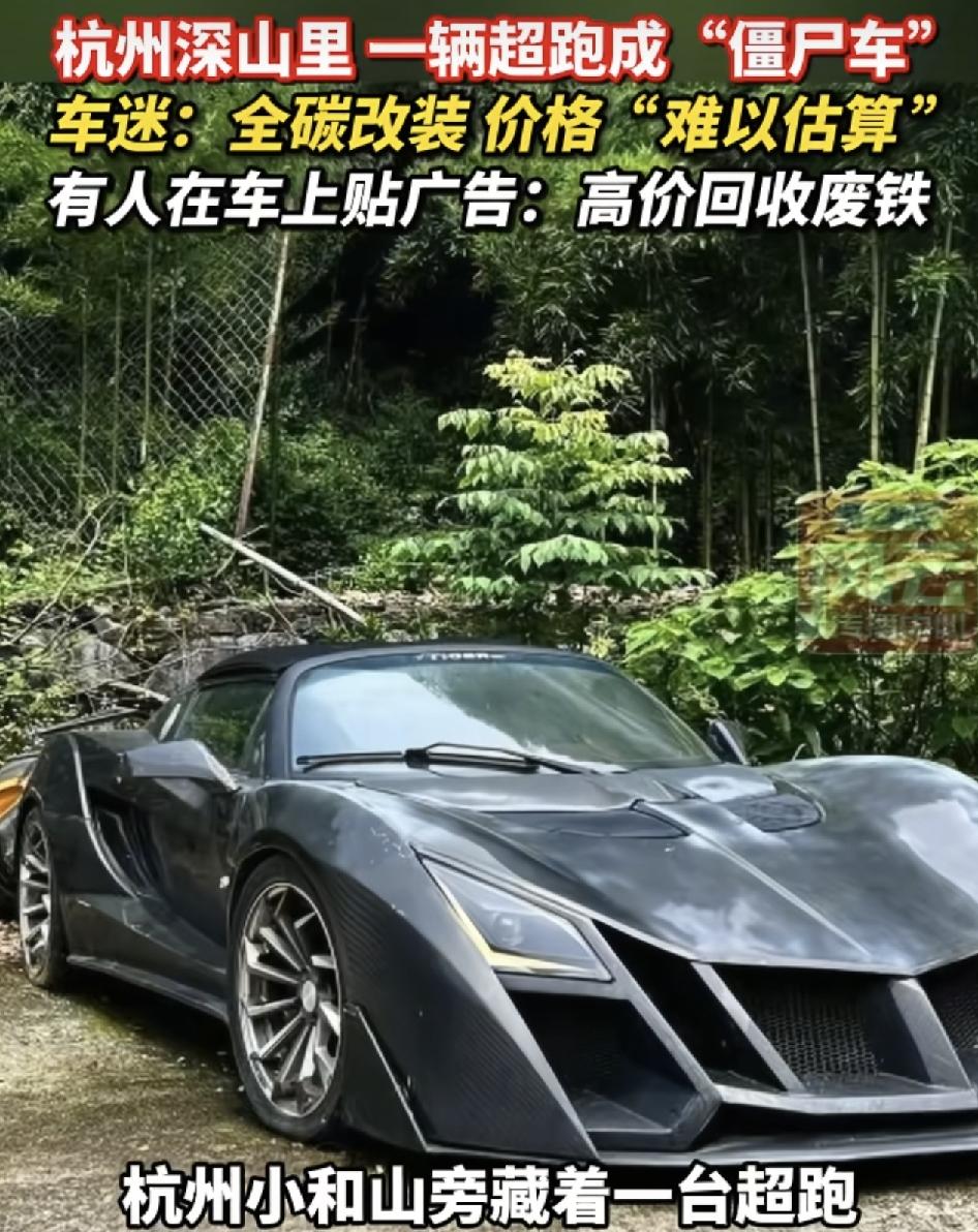 杭州深山里网友发现有一辆炫酷的跑车被遗弃在山林间，可以看到跑车已经很久没有被打理